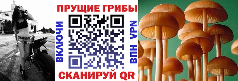 Псилоцибиновые грибы Magic Shrooms  MEGA зеркало  Рославль  купить наркотики цена 